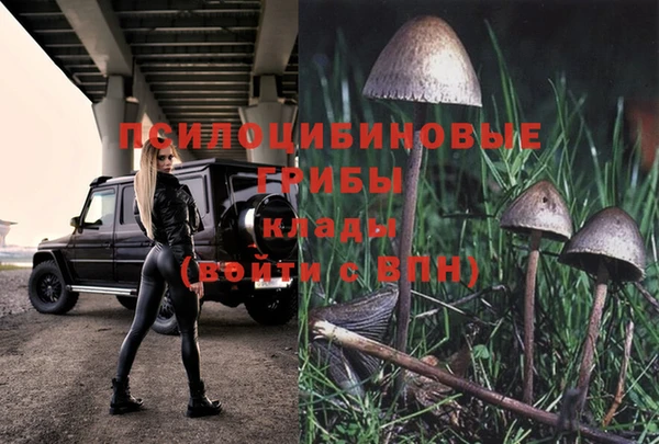 спайс Надым
