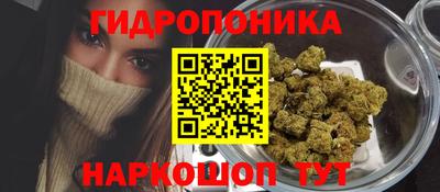 эйфоретик Гусиноозёрск