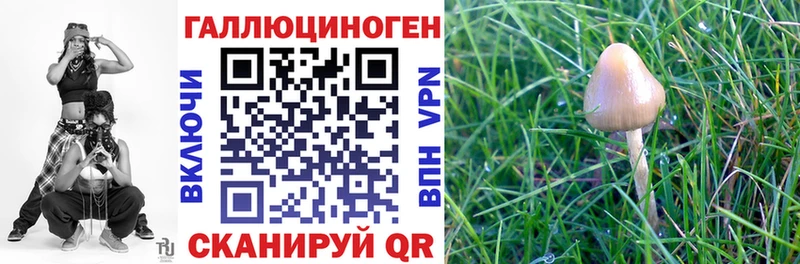 Псилоцибиновые грибы ЛСД магазин наркотиков Каменск-Уральский