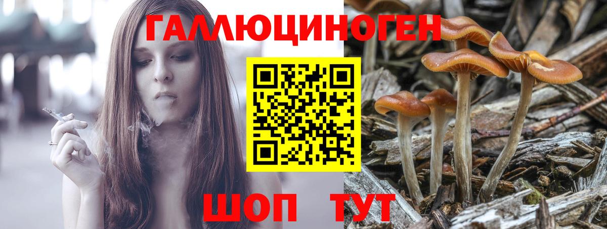 Псилоцибиновые грибы MAGIC MUSHROOMS  Каменск-Уральский 