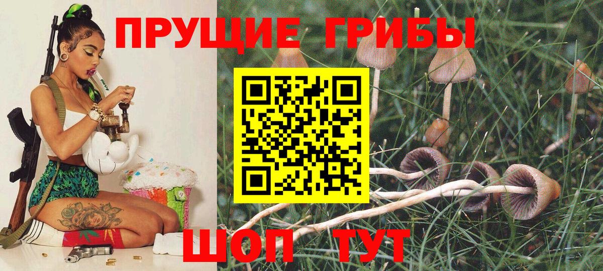 Каменск-Уральский  Галлюциногенные грибы GOLDEN TEACHER  Галлюциногенные грибы Psilocybe  Вход с VPN 